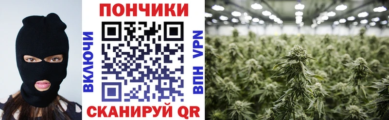 Где купить Чебаркуль Галлюциногенные грибы  Амфетамин  A PVP  Конопля  Меф мяу мяу  Cocaine 