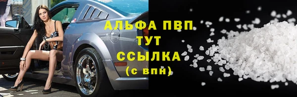 твердый Аркадак