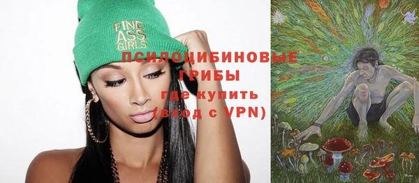 твердый Аркадак