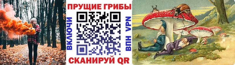 кракен вход  Чебаркуль  Галлюциногенные грибы Psilocybine cubensis 